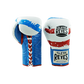 Cleto Reyes Professional Boxing Gloves